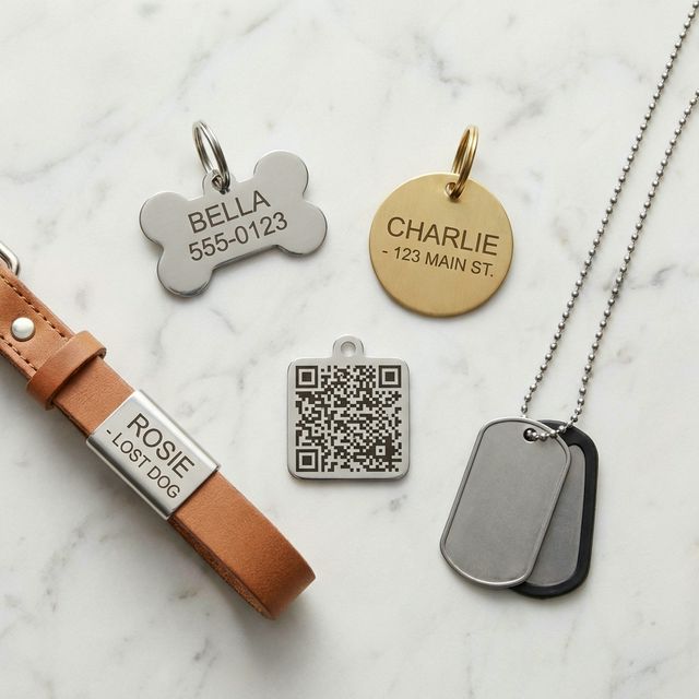 Best Dog ID Tags 2026: Engraved, QR Code, and Smart Tags Compared