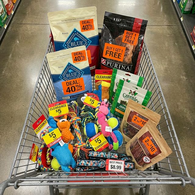 Dog Supplies Outlet Guide: Where to Find the Best Deals Online in 2026